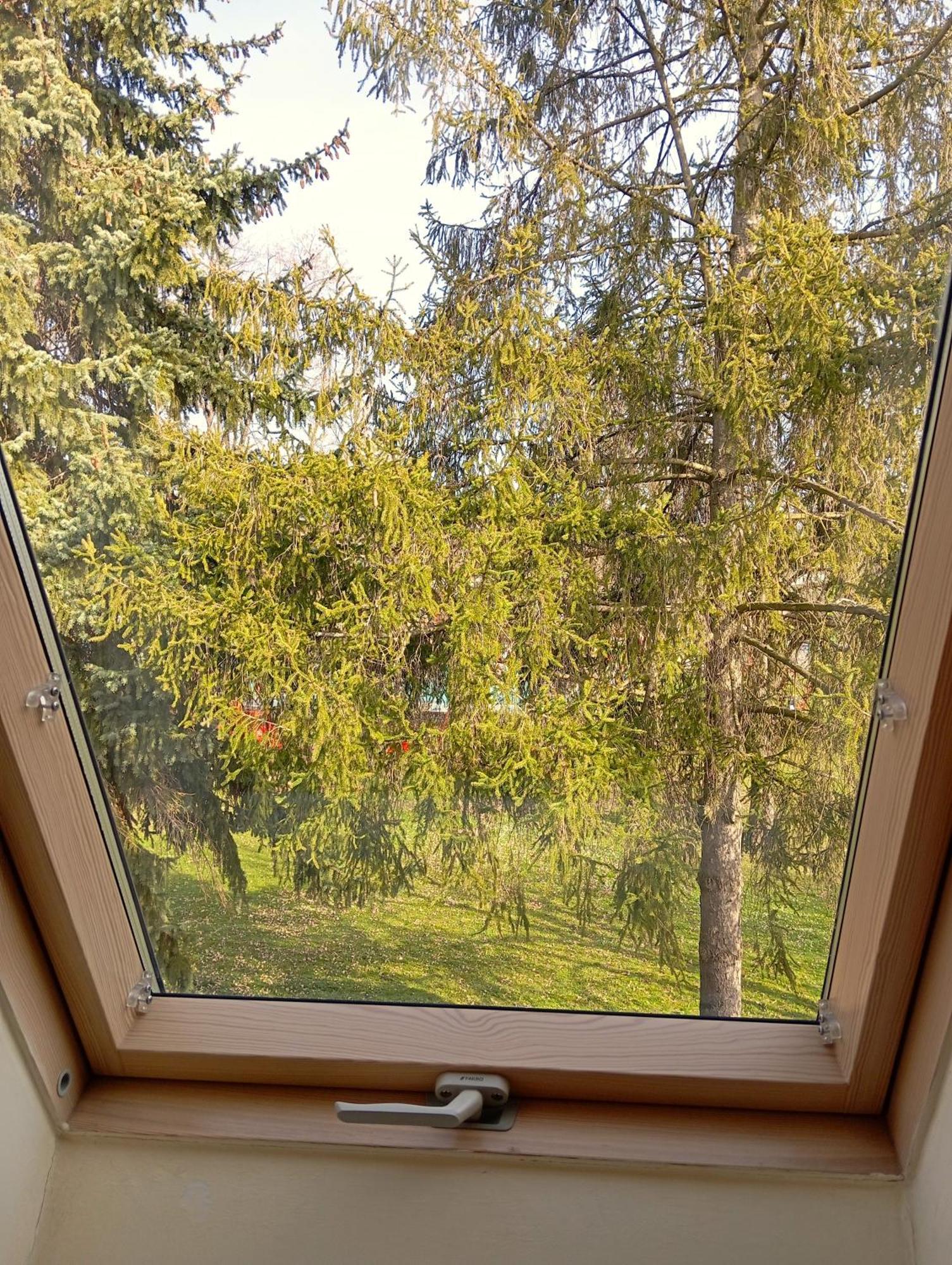 Patak-Party Apartmanok Bogács Exteriör bild